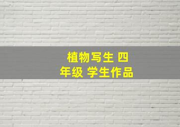 植物写生 四年级 学生作品